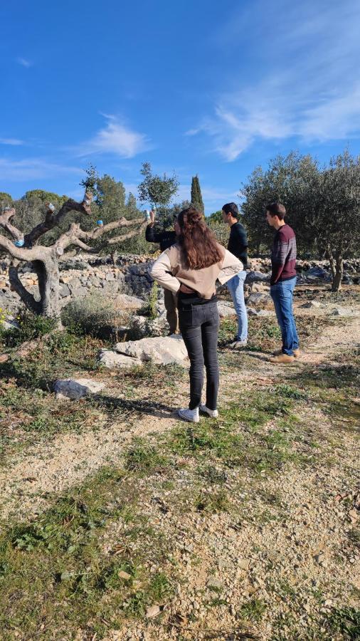 Can Barraca Avinyonet de Puigventós Extérieur photo